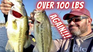 Texas Fall Bass Fishing Beatdown!!! We Caught OVER 100LBS in a day, on Glide Baits and Swim Baits!!!