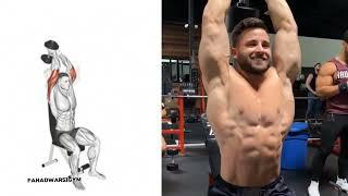 How To Build Your Triceps Fast (Dumbbell - Bodyweight)