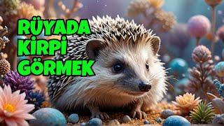 Rüyada Kirpi Görmek Ne Anlama Geliyor?- Rüya ve İstihare Yorumları