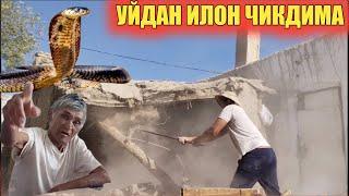УЙДАН ИЛОН ЧИКДИМА УЙ БУЗИЛИШИ ТУГАДИ