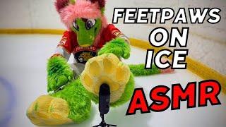 [FURRY ASMR] Lion Feetpaws Struggling on ICE! ️️