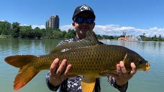 Mile High Fishing City Park Denver, Colorado