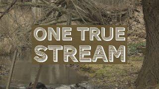 "One True Stream" - OTK Film Festival Submission