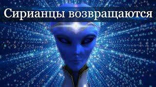 Накануне Перехода: сирианцы в эфирных дельфиноидных телах   возвращаются.