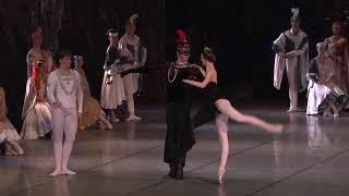 Swan Lake. Black Swan Adagio. Archive of Aleh Lukashevich