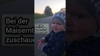 Maisernte beginnt #max #dorfkind #dorfleben #niedlich #shortvideo