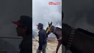 Aaj tho gunday dore pe se 47 chore pe se bhar na koi bhi aa jaiyo uske chakr m ho jagi chalni kai