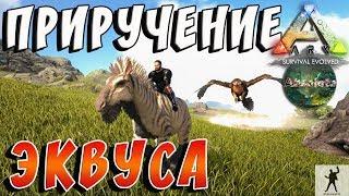 ARK SURVIVAL EVOLVED | ПРИРУЧЕНИЕ ЭКВУСА| АРК СУРВАЙВЛ ЭВОЛВ 1 СЕЗОН | ABSOLUTE ARK S01E06