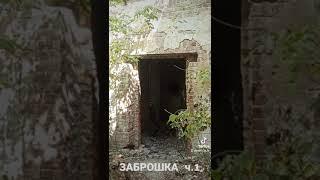 Заброшенный графский особняк в Самарской области.