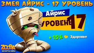 КАЧАЕМ ЗМЕЮ АЙРИС НА 17 УРОВЕНЬ В ИГРЕ ZOOBA