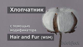 Моделирование Хлопчатника  в 3d max. Hair and Fur (WSM)