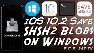 iOS 10.2 - Save SHSH2 Blobs On Windows | Fix "firmware.json" Error