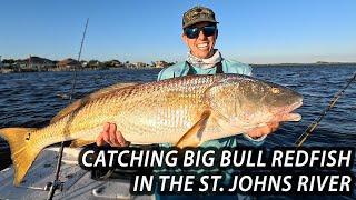 Catching Big Bull Redfish in the St. John's River #redfish