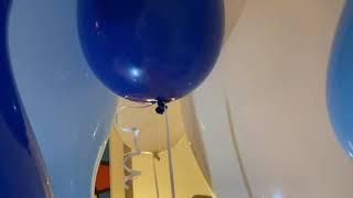 Walking around a bouquet of Qualatex 24 inch helium filled balloons