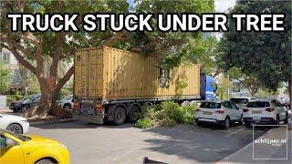 Truck stuck under tree at Jabotinsky, Tel Aviv