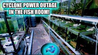 WHAT HAPPENS TO MY FISH ROOM WITH NO POWER?