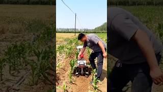 #modernfarmer #agriculture #agriculturalsystem #farming #shorts