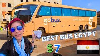 GO BUS Egypt | Best Bus, Cheap Transportation to Cities in EGYPT | Egypt Vlog #113 | جو باص في مصر