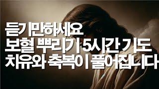 자면서 듣기만해도 예수님의 피로 치유 축복이 동시에 해결됩니다. 치유기도, 보혈기도, 축사기도, 축복기도, 질병 치유기도, 서효원목사 치유기도