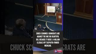 Democrats Slam One Big Beautiful Bill Over Medicaid Cuts for Illegals #shorts