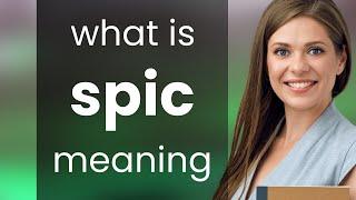 Spic • what is SPIC definition