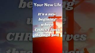 CHRIST became your Life #newlife #inchrist #jesus #christ #god #cross #newbeginnings #fathershouse