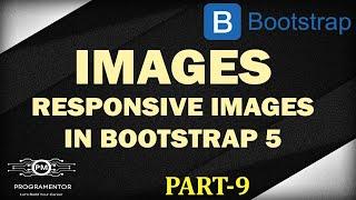 09 | Bootstrap 5 Images | Responsive Images | Images In Bootstrap 5 | Learn Bootstrap 5 (Hindi/Urdu)