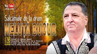 NELUTA BUCUR . Salcamule de la drum [ COLAJ ]