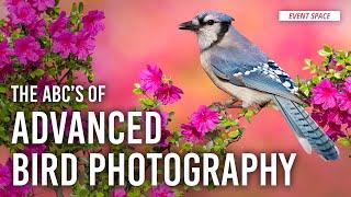 ABC's of Advanced Bird Photography | #BHEventSpace