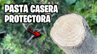 Cómo Hacer la MEJOR Pasta Cicatrizante Casera!!  Paso a Paso | La Huerta de Ivan