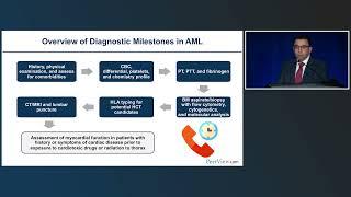 The Precision Team in AML