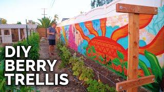 How To Build A Raspberry Trellis | Keep Your Berries Producing For YEARS!