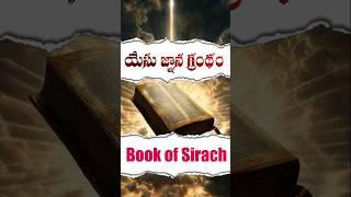 Book of Sirach A Manual for a Moral Life #sirach word of God