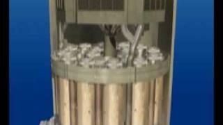 Pressurized Water Reactor