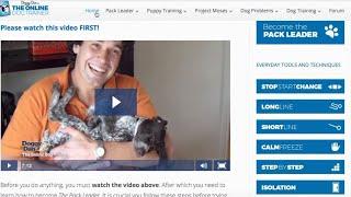 Doggy Dan Review and tour of The Online Dog Trainer