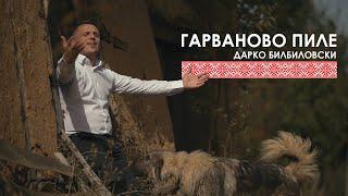 Дарко Билбиловски - Гарваново Пиле. Darko Bilbilovski - Garvanovo Pile