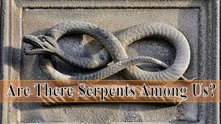 Let's Get Serious - Are There Serpents Among us?