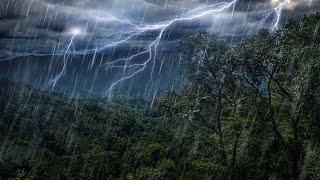 Rain Forest Thunder & Rain Sleep Sounds | White Noise 10 Hours