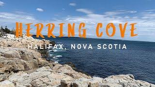 HERRING COVE BLUFFS  | Easily-Accessible Family-friendly hikes near Halifax | Nova Scotia