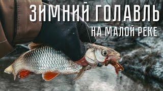 ЗИМНИЙ ГОЛАВЛЬ! Ловля на МИКРОДЖИГ | Зимний СПИННИНГ на малой реке.