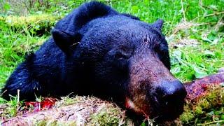 Successful Spring Bear Hunt in the Pacific Northwest
