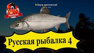 Русская рыбалка 4 Шел за миногой а вышел мировой рекорд недели