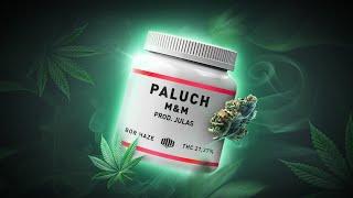 Paluch - M&M (prod. Julas)