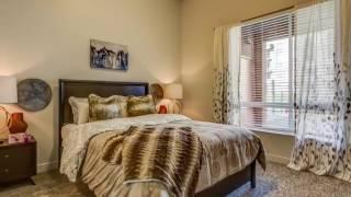 Novi at Jordan Valley Station Apartments in West Jordan, UT - ForRent.com