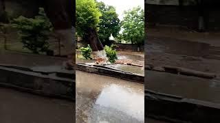 Rainy day