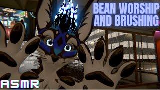 (Furry ASMR) Bean Worship!  1,200 Subscriber Special [+Brushing, Booping, and Petting]