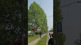T.O.L.E.D.O, OHIO WEST END FESTIVAL 2025!