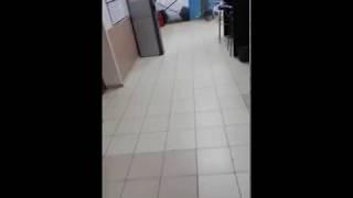 Хомяков учит попанов как надо себя вести в Будке