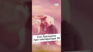 #Лукашенко заявил, что часто во сне доит коров @zapovednik
