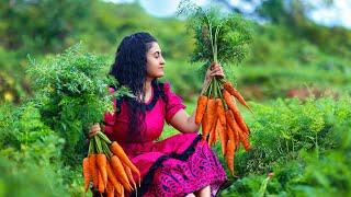 Carrot harvest!for boondi laddu & chicken masala fried rice too..|Poorna-The nature girl